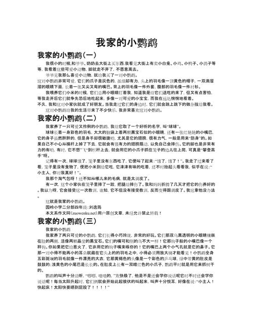 鹦鹉的生活日志一场意想不到的生态探险 鹦鹉的生活日志一场意想不到的生态探险
